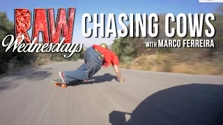 Raw Wednesdays | Chasing Cows with Marco Ferreira
