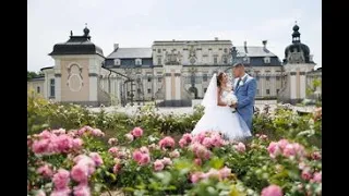 Petra & Milán | 2023.08.16. | Esküvői videó | Wedding Highlights