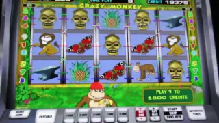 Как обыграть игровые автоматы Crazy Monkey в казино вулкан НОВОГОДНИЕ СЕКРЕТЫ
