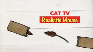 CAT GAMES - Realistic Mouse for Cats- 3 HOURS (Video for Cats & Dogs to Watch)