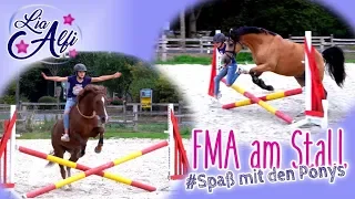Lia & Alfi - FMA am Stall - Halsring-Reiten