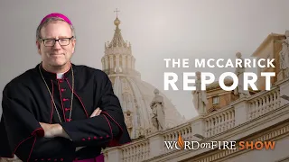 Bishop Barron on the “McCarrick Report”
