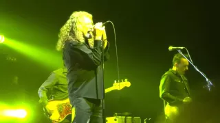 Robert Plant & the Sensational Space Shifters - The Lemon Song