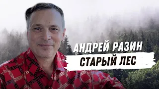Андрей Разин – Старый лес