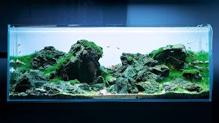 IWAGUMI AQUASCAPE - 4K CINEMATIC - GREEN AQUA