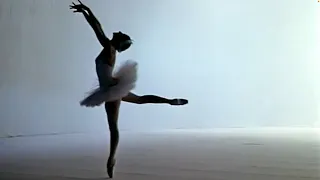 Maya Plisetskaya / Майя Плисецкая "The Dying Swan"