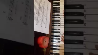 Жуки-Батарейка(на фортепиано)