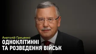 Гриценко про розведення військ: "На це не можна реагувати в режимі одноклітинного організму"