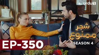 Shajar-e-Mamnu | Episode 350 | Turkish Drama  | Forbidden Fruit | Urdu Dubbing | 13 April 2022