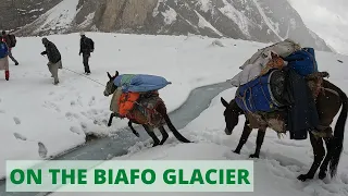 On the Biafo Glacier - Karakoram Mountains - Pakistan