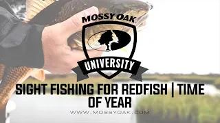 Best Time Of Year For Targeting Redfish | Inshore Fishing