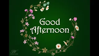 Good Afternoon Whatsapp Status , Noon Video Greetings and Wishes