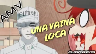 ≈Leucocito x Eritrocita≈ ♫Ozuna ft. MTZ - Una Vaina Loca♫「AMV」