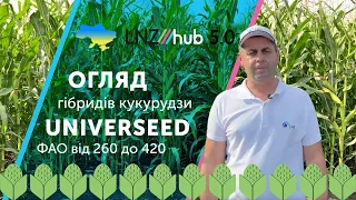 Огляд гібридів кукурудзи UNIVERSEED з ФАО від 260 до 420