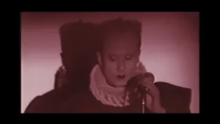 Klaus Nomi - Three Wishes - After the fall live