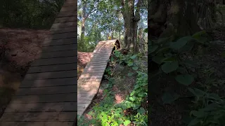 Mountain biking on the wood feature “ Pure Adrenaline”￼ at Mount Dora l, FL