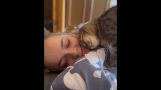 Нежный пушистый будильник. The best kind of alarm..🐈🐾⏰🥰