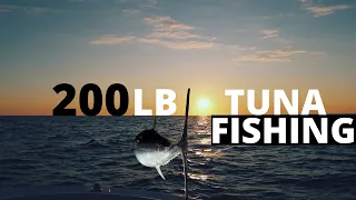 Tuna fishing !!!200 POUNDS!!! Bluefin Tuna caught on Cape Cod