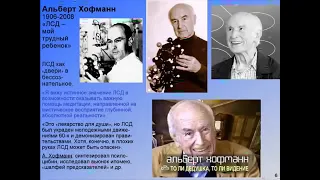 Вячеслав Дубынин. Мозг и Галлюциногены.