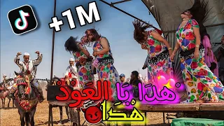 هدا يا العود🐎هدا🍻 | heda ya l3awd hda 🇲🇦