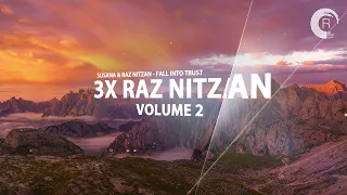 RAZ NITZAN VOL. 2 X3 [Mini Mix]