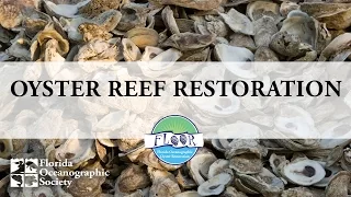 Florida Oceanographic Oyster Reef Restoration Process