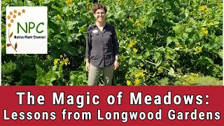 Creating a Meadow-Learn from an expert at Longwood Gardens!