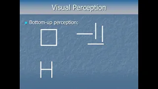 Cognitive Psychology - Perception Pt1 - Visual Perception