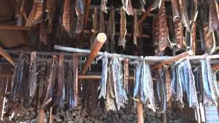 Traditional Smoked Salmon method in Alaska