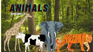 ANIMALS Learn about Adorable Animals : Cat, dog, duck, otter, cow, squirrel,  - Animal Sounds