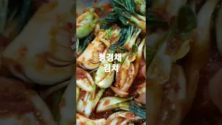 #청경채 김치 #청경채