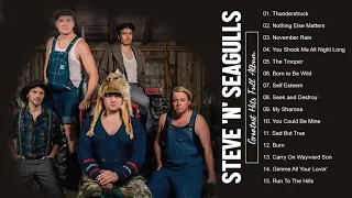 Steve'n' Seagulls Greatest Hits Full Album - Best Songs Of Steve'n' Seagulls Playlist 2021