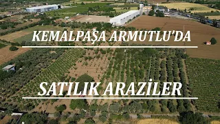 İzmir Kemalpaşa Armutlu' da Satılık 5.000 m2 Arazi