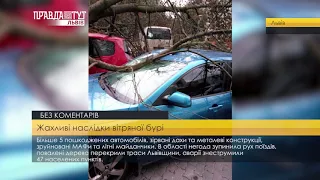 Жахливі наслідки вітряної бурі. ПравдаТУТ Львів