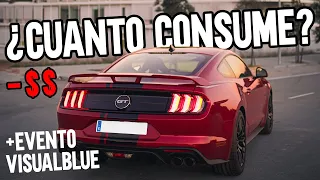 Hablemos del consumo del MUSTANG GT + evento VisualBlue