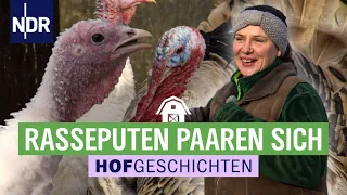 Eierlegen bei Minusgraden | Hofgeschichten: Leben auf dem Land (220) | NDR