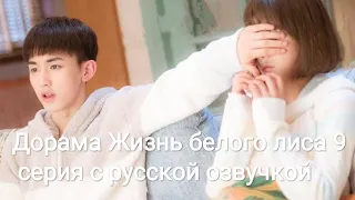 Дорама Жизнь белого лиса 9 серия с русской озвучкой