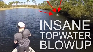 INSANE Topwater Bass Blowup!!!