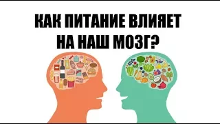 Как питание влияет на наш мозг?