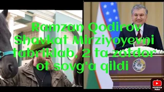 Ramzan Qodirov Shavkat Mirziyoyevni tabriklab, 2 ta zotdor ot sovg'a qildi #shavkatmirziyoyev #xabar