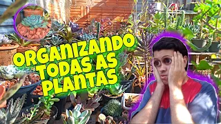 Bora organizar as minhas plantas