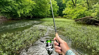 Fishing the First Ever KAS!!  Shoaliepalooza 2024