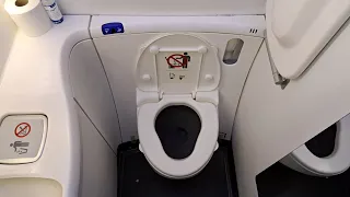 Boeing 787 Unisex Restroom