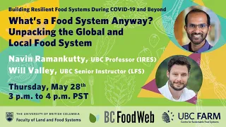 What is a food system anyway?  Unpacking the global and local food system