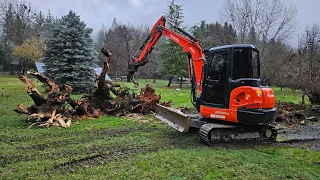 Rotten ripper stumps with the Kubota KX 040 4