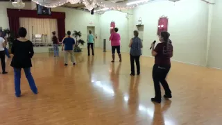 Shake Your South Side Line Dance