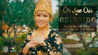 Or Jao Oei  ออเจ้าเอย  - Cover by Deeda/Dib Xwb(Hmong version fast tempo)