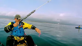 Kayak Fishing UK. Cod Fishing at Newbiggin in Northumberland... 19,7,21