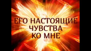 ЕГО НАСТОЯЩИЕ ЧУВСТВА КО МНЕ...Таро онлайн Ютуб |Расклад онлайн| Таро онлайн видео