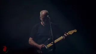 David Gilmour - Sorrow - Live in Nîmes 2016